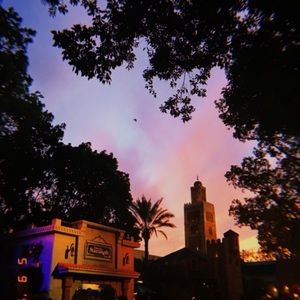 Meet your Posher, Trinity